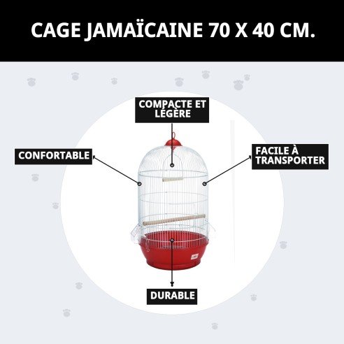 Cage Jamaica 70 x 40 cm : Confort et Style pour Animaux de Compagnie