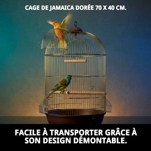 Cage Jamaica Dorée 70x40 cm - Confort et Style pour Animaux de Compagnie