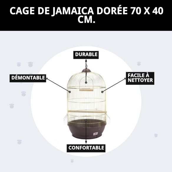 Cage Jamaica Dorée 70x40 cm - Confort et Style pour Animaux de Compagnie