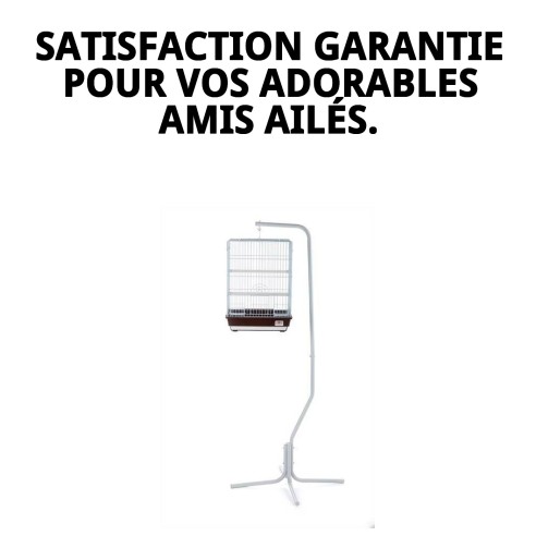 Cage Macao pour Oiseaux Exotiques - 40x40x54 cm