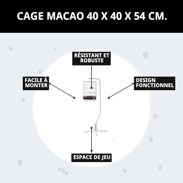 Cage Macao pour Oiseaux Exotiques - 40x40x54 cm