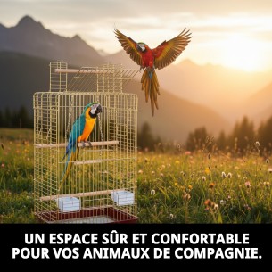 Cage Malawi Dorée avec Ouverture - Design Élégant et Fonctionnel 2