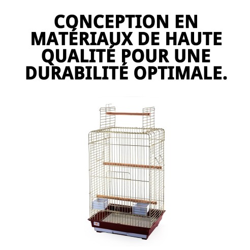 Cage Malawi Dorée avec Ouverture - Design Élégant et Fonctionnel