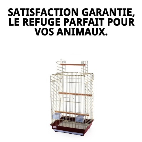 Cage Malawi Dorée avec Ouverture - Design Élégant et Fonctionnel