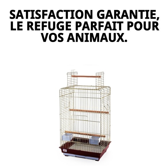 Cage Malawi Dorée avec Ouverture - Design Élégant et Fonctionnel