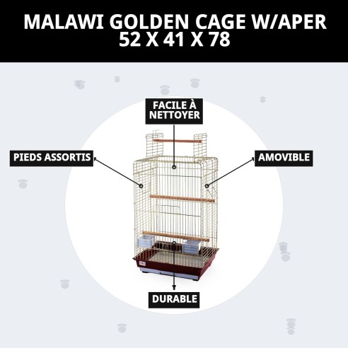 Cage Malawi Dorée avec Ouverture - Design Élégant et Fonctionnel