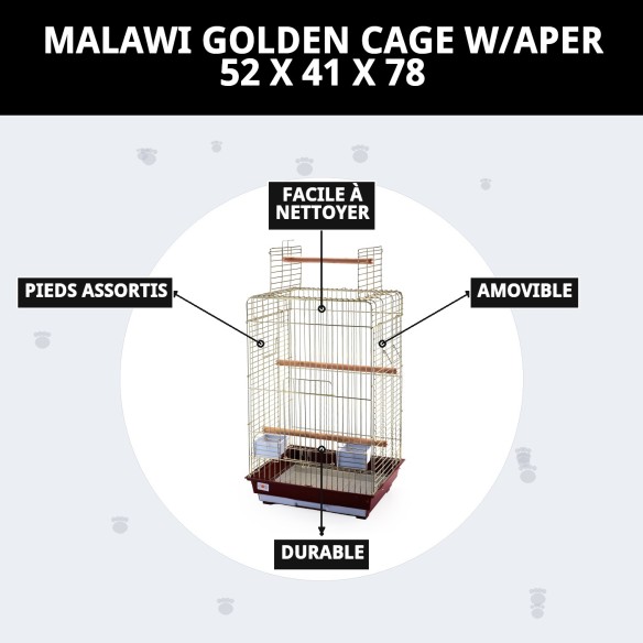 Cage Malawi Dorée avec Ouverture - Design Élégant et Fonctionnel
