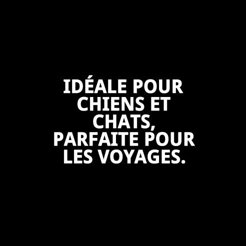 Cage Manila 53x33 cm : Confort et Style pour votre Animal de Compagnie