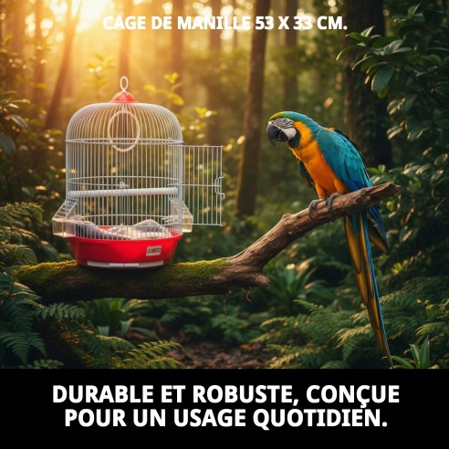 Cage Manila 53x33 cm : Confort et Style pour votre Animal de Compagnie