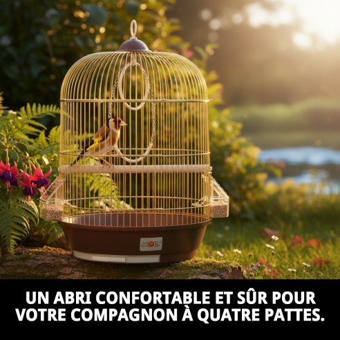 Cage Manila Dorée 53 x 33 cm - Confort et Style pour Animaux de Compagnie