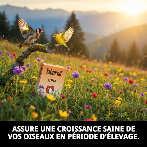Tabernil Cría 10S : Santé et Vitalité pour vos Oiseaux