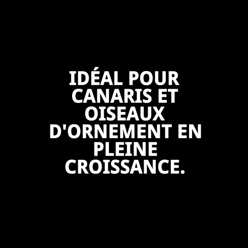 Tabernil Cría 10S : Santé et Vitalité pour vos Oiseaux