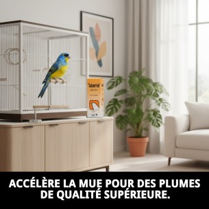 Tabernil Muda 20 ml : Complément idéal pour les oiseaux en mue. 2