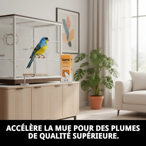 Tabernil Muda 20 ml : Complément idéal pour les oiseaux en mue.