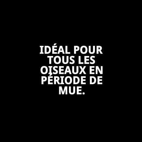 Tabernil Muda 20 ml : Complément idéal pour les oiseaux en mue.
