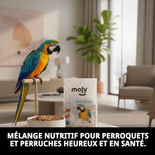 Mélange Nutritif pour Perroquets et Perruches Moly 600g 2