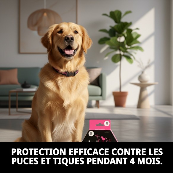 Collier Taber Perméthrine 60 cm : Protection Anti-Puces Efficace