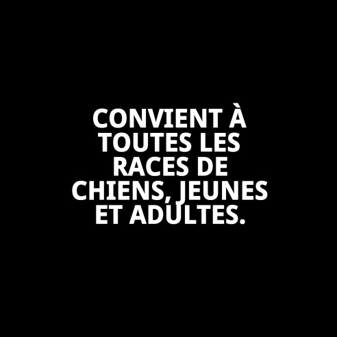 Collier Taber Perméthrine 60 cm : Protection Anti-Puces Efficace