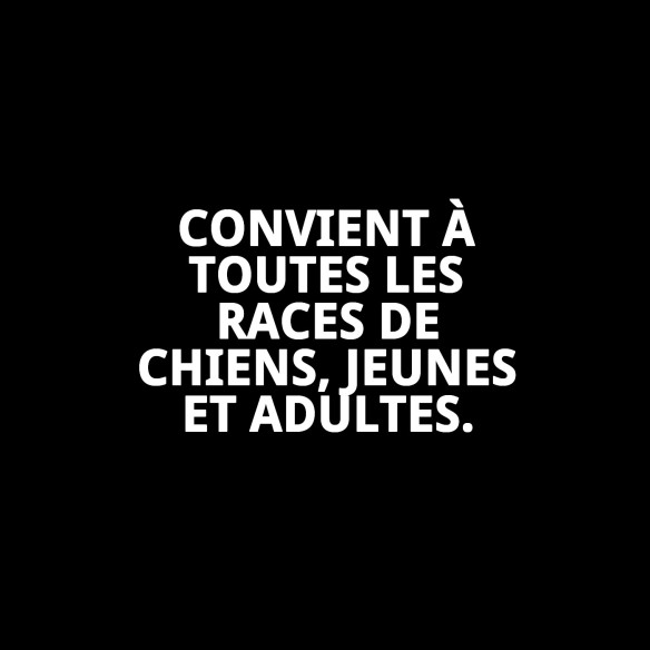 Collier Taber Perméthrine 60 cm : Protection Anti-Puces Efficace