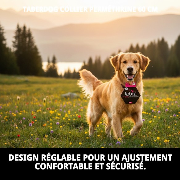 Collier Taber Perméthrine 60 cm : Protection Anti-Puces Efficace