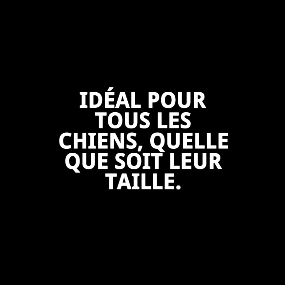 DENTA SNACK MOLY Moyen 7PCS : Délice et Santé Dentaire