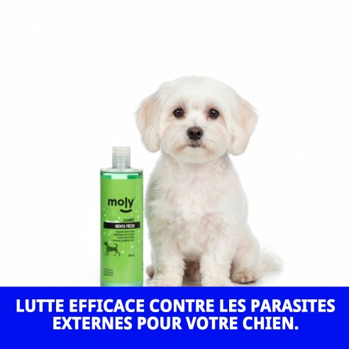Shampoo Menthe Fraîche 500 ML : Protection et fraîcheur pour votre chien.