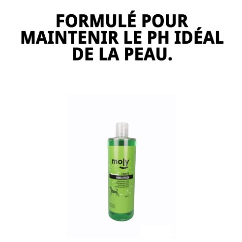 Shampoo Menthe Fraîche 500 ML : Protection et fraîcheur pour votre chien.