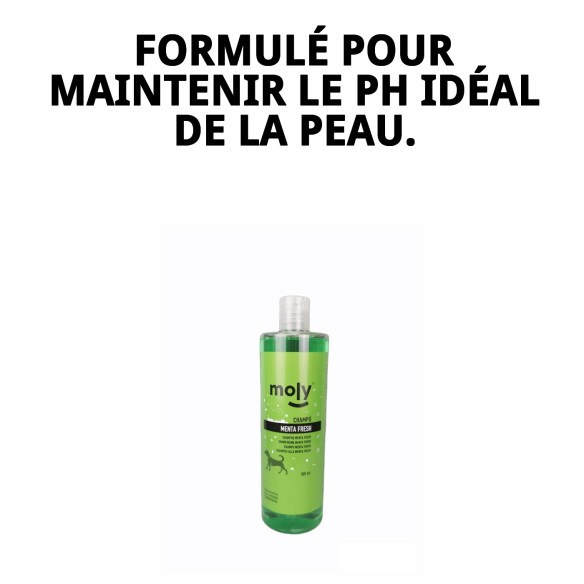 Shampoo Menthe Fraîche 500 ML : Protection et fraîcheur pour votre chien.