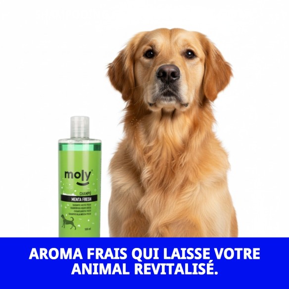 Shampoo Menthe Fraîche 500 ML : Protection et fraîcheur pour votre chien.