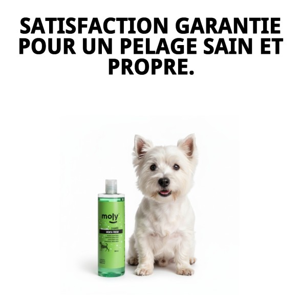 Shampoo Menthe Fraîche 500 ML : Protection et fraîcheur pour votre chien.