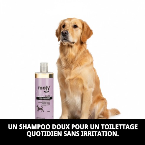 Shampoo Usage Fréquent 500 ml pour Chiens - Doux et Efficace