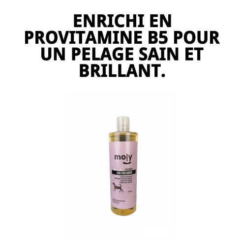 Shampoo Usage Fréquent 500 ml pour Chiens - Doux et Efficace