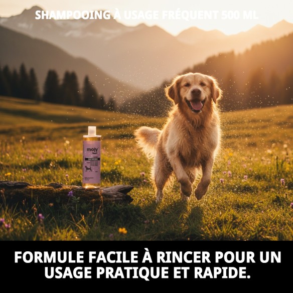 Shampoo Usage Fréquent 500 ml pour Chiens - Doux et Efficace