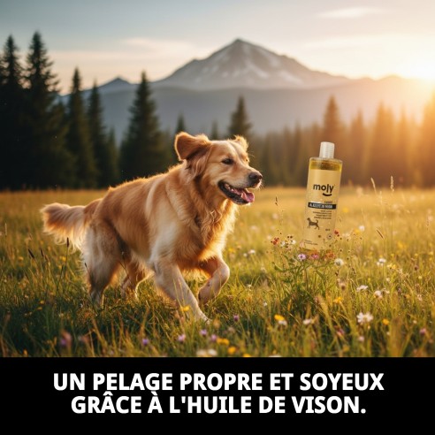 Shampoo Huile de Vison 500 ml : Cheveux Soyeux et Propres