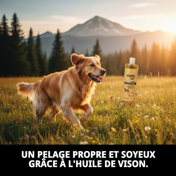 Shampoo Huile de Vison 500 ml : Cheveux Soyeux et Propres