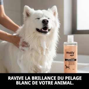 Shampoing pour Poils Blancs 500 ml - Brillance et Volume pour Animaux de Compagnie 2
