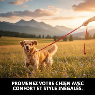 Ramal en Nylon Love 120x1cm pour Animaux - Haute Qualité et Style 2