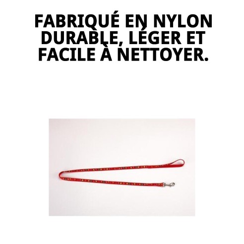 Ramal en Nylon Love 120x1cm pour Animaux - Haute Qualité et Style
