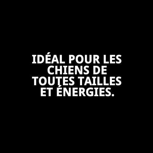 Ramal en Nylon Love 120x1cm pour Animaux - Haute Qualité et Style