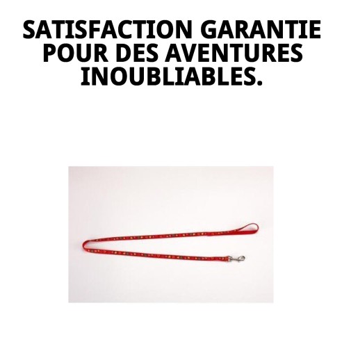 Ramal en Nylon Love 120x1cm pour Animaux - Haute Qualité et Style