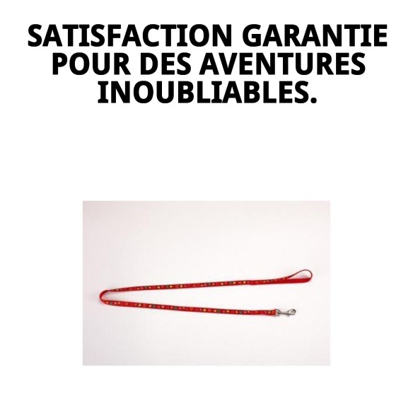 Ramal en Nylon Love 120x1cm pour Animaux - Haute Qualité et Style