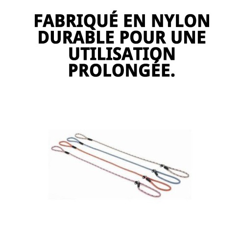 Collier et Laisse en Nylon Dressage 120x0,80cm pour Animaux de Compagnie