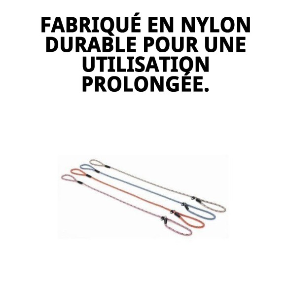 Collier et Laisse en Nylon Dressage 120x0,80cm pour Animaux de Compagnie