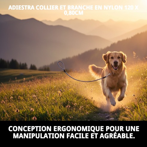 Collier et Laisse en Nylon Dressage 120x0,80cm pour Animaux de Compagnie