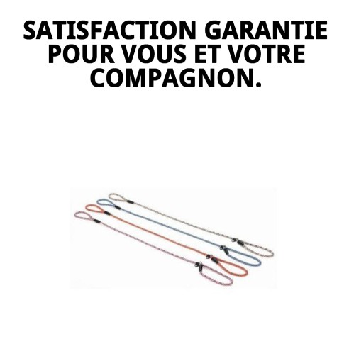 Collier et Laisse en Nylon Dressage 120x0,80cm pour Animaux de Compagnie