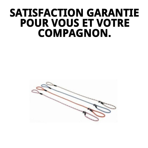 Collier et Laisse en Nylon Dressage 120x0,80cm pour Animaux de Compagnie