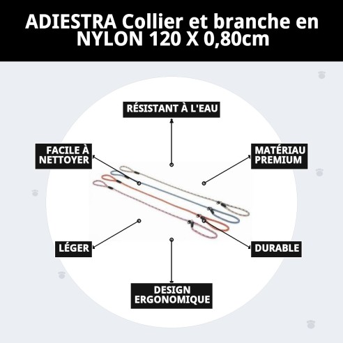 Collier et Laisse en Nylon Dressage 120x0,80cm pour Animaux de Compagnie