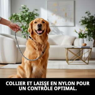 Collier et Laisse en Nylon pour Éducation - 120x1.30cm 2