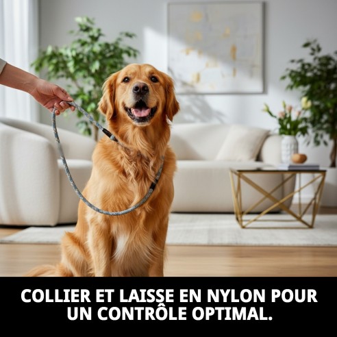 Collier et Laisse en Nylon pour Éducation - 120x1.30cm