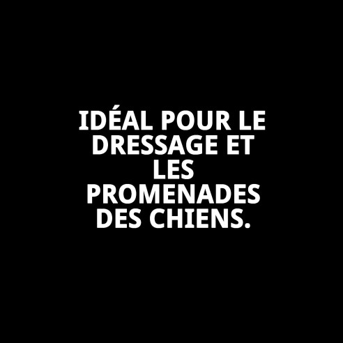 Collier et Laisse en Nylon pour Éducation - 120x1.30cm